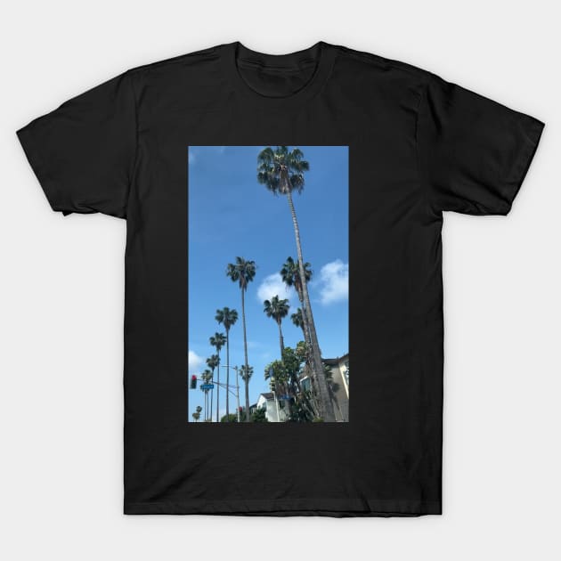 California T-Shirt by Ash&Aim Tees